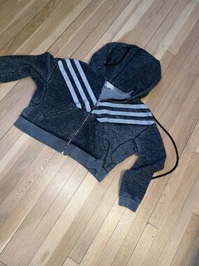 Wild fox cropped hooded Sweatshirt